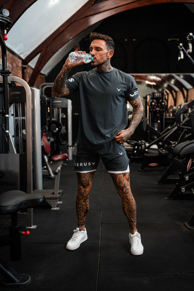 Cerus Grey Apex 2-in-1 Shorts