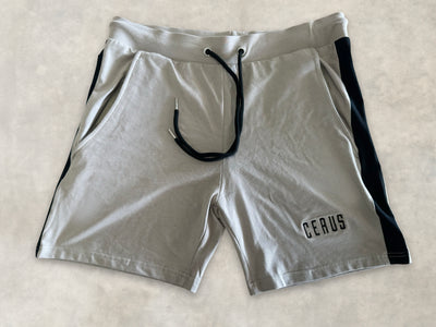 Breathable Men's Athletic Shorts